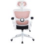 Woxter Silla Gaming Ergo Rosa